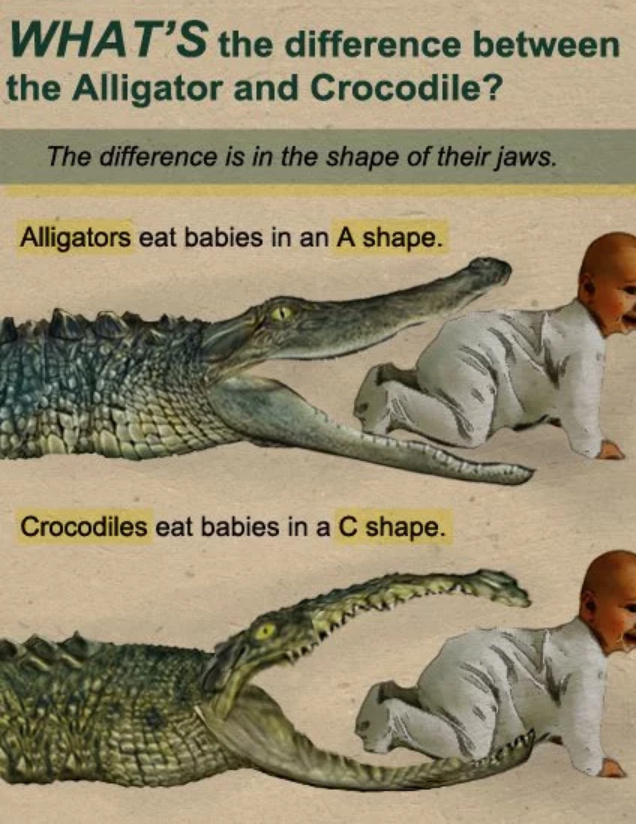 5bc230006f1a8.jpeg