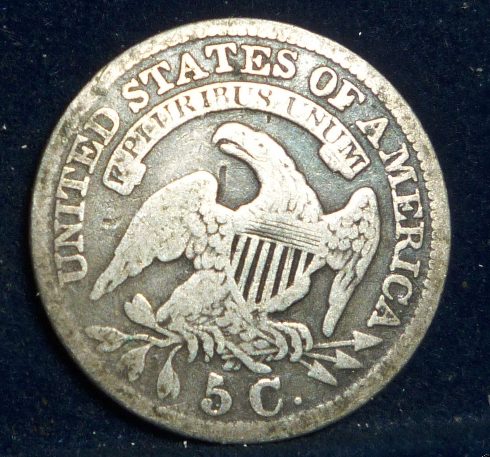 5c 1831b.jpg