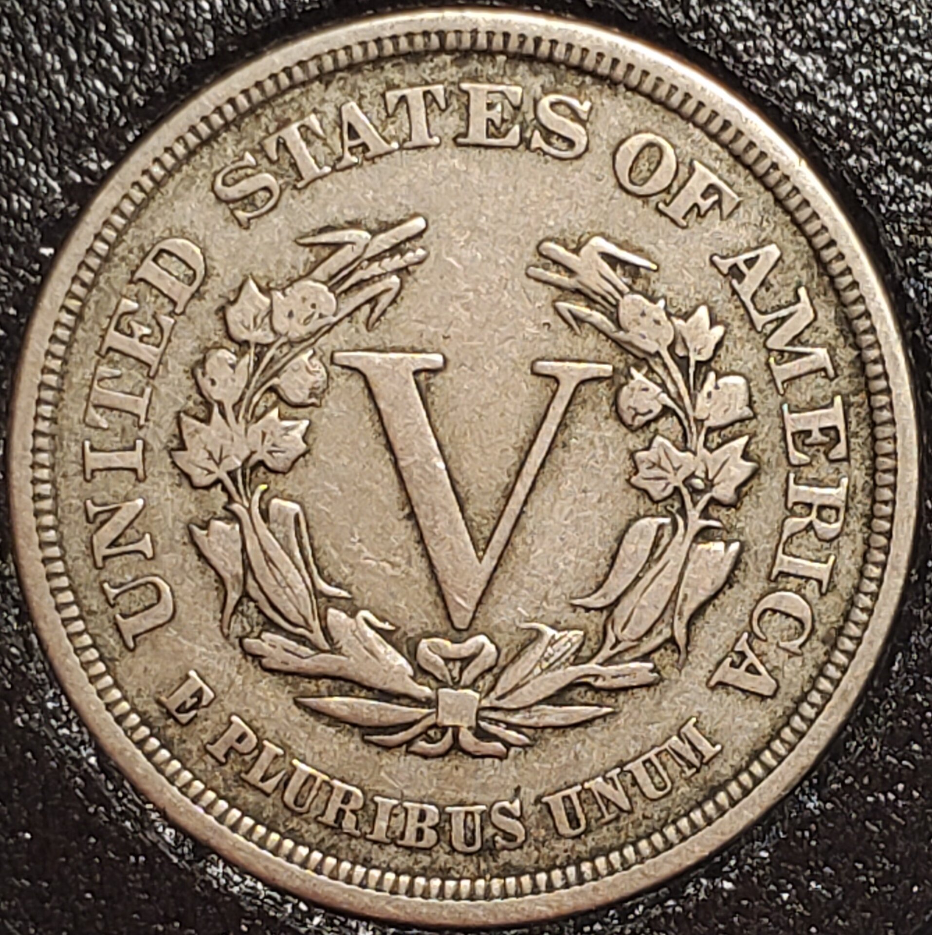 5C 1883 rev.jpg