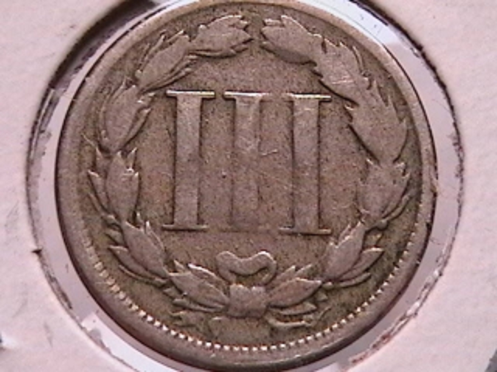 5c.jpg