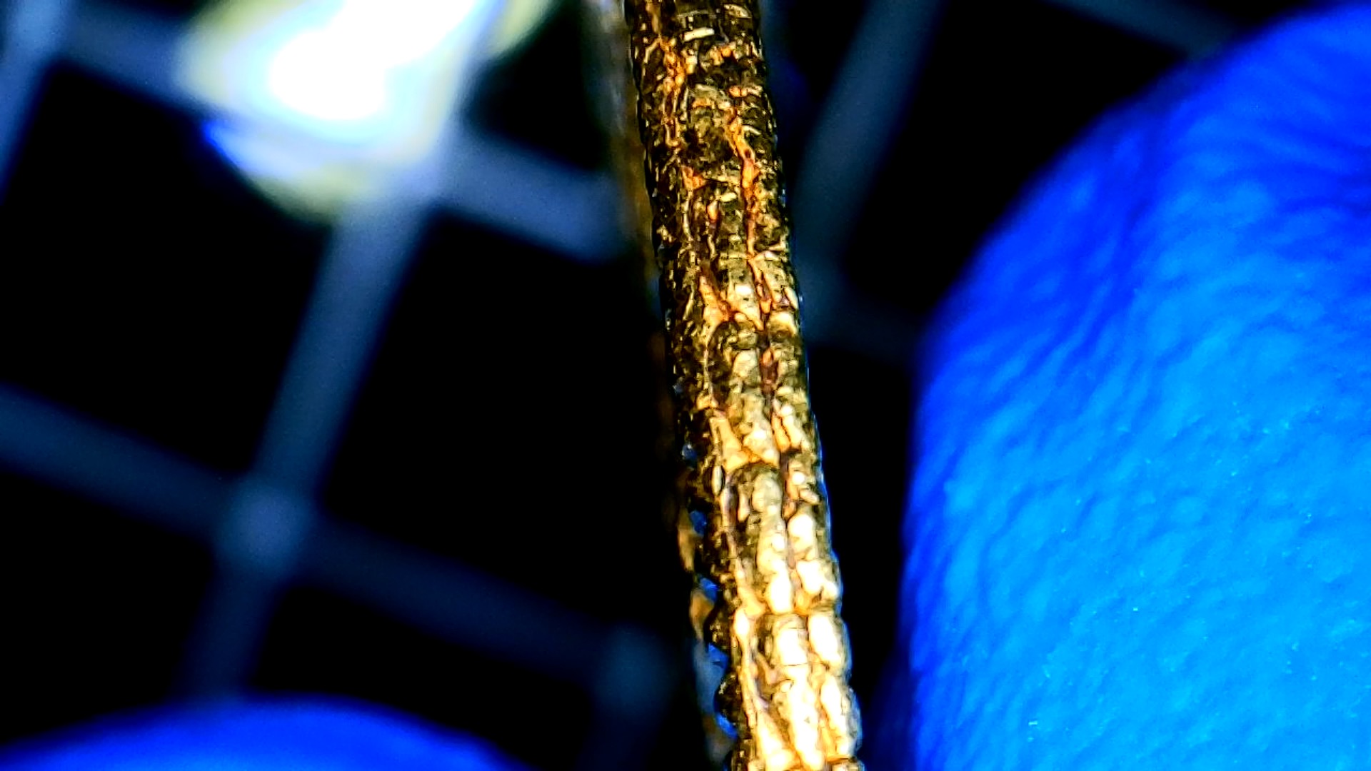 5D0A0A8D-0635-4241-9DEE-A70069FC3404.jpeg