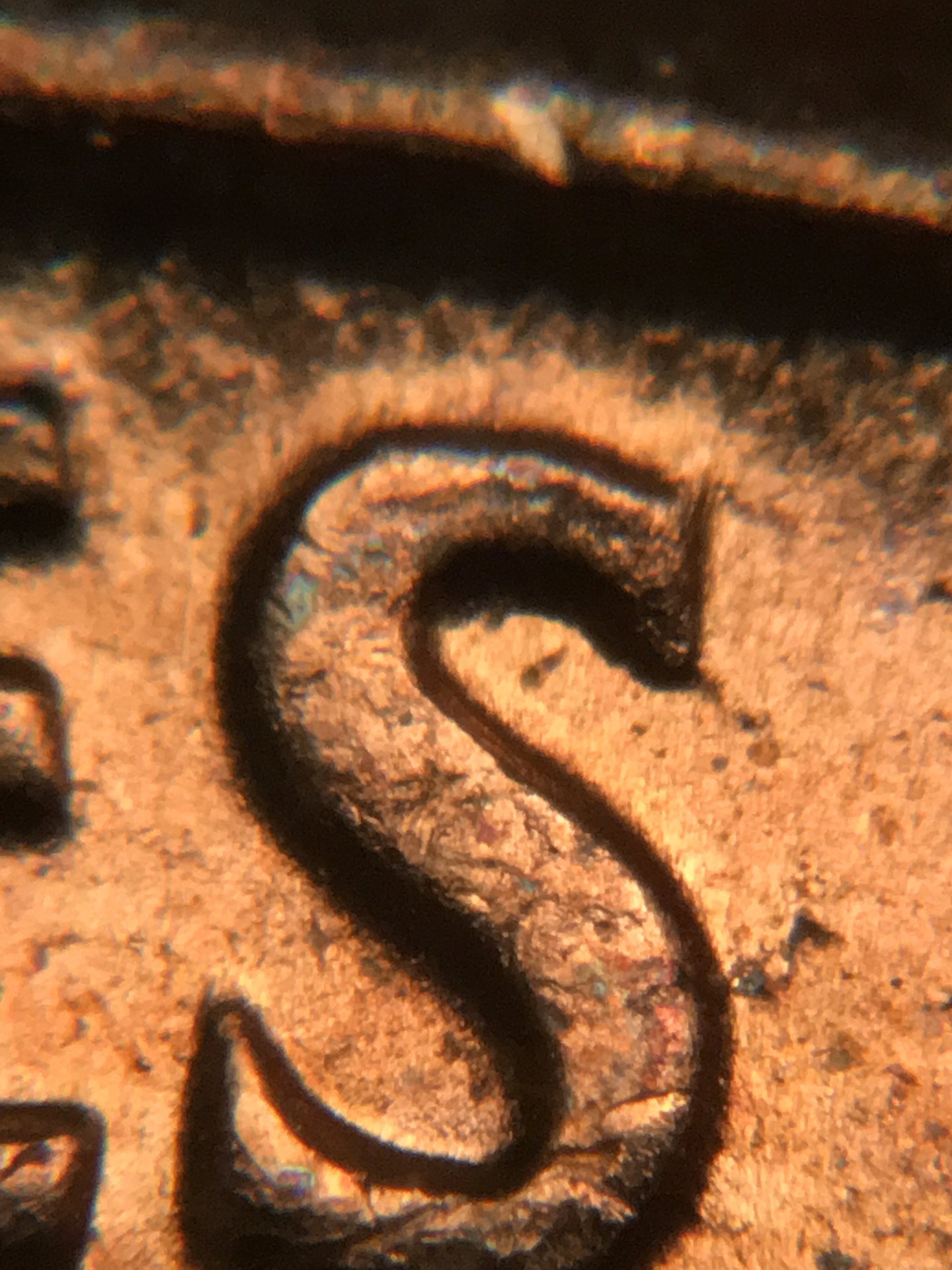 5D59BC50-6E21-4880-A466-E4A3F4D1FB67.jpeg