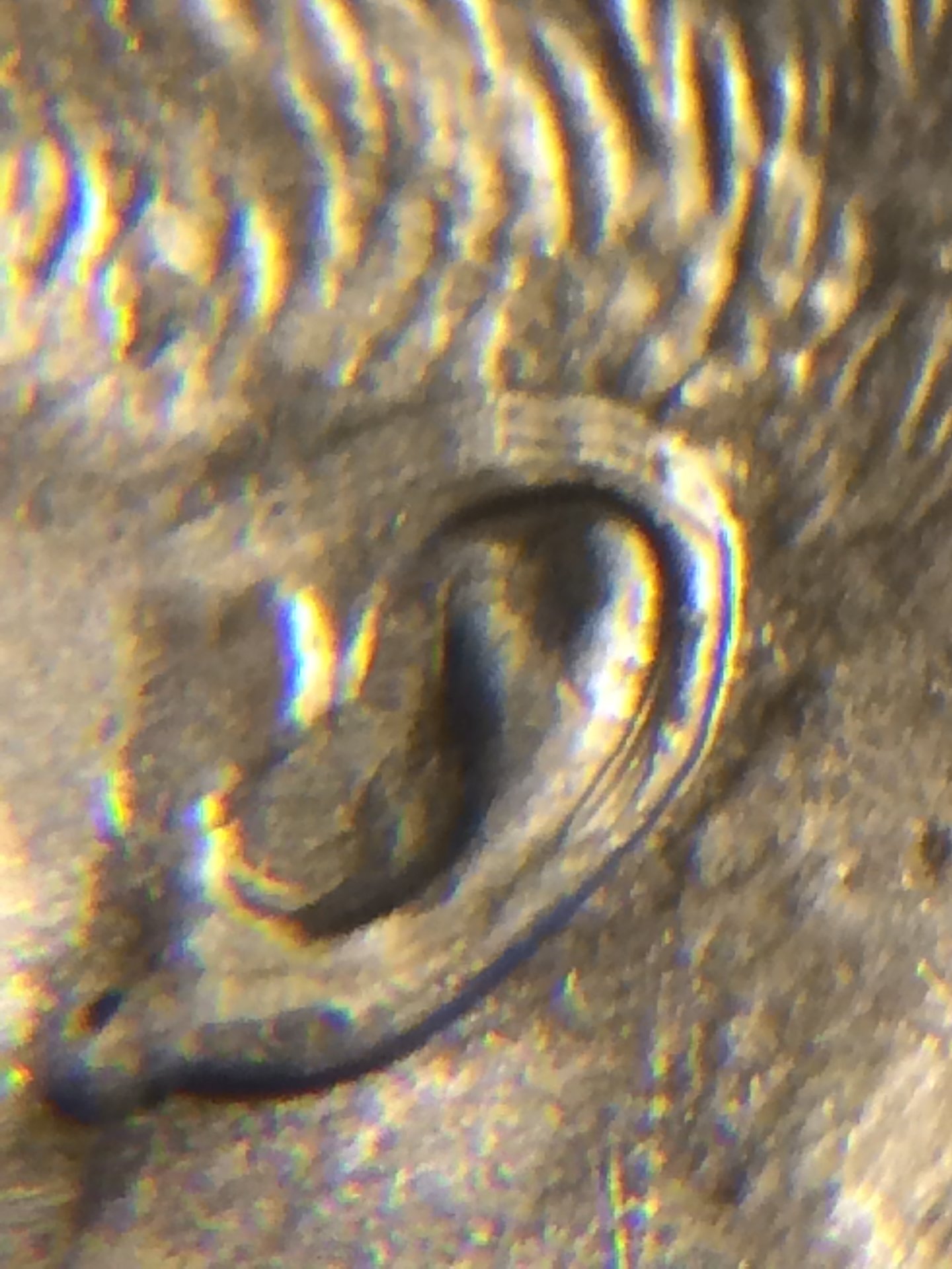 5D9195C1-C735-43D7-BD0D-B1ABB957DCA3.jpeg