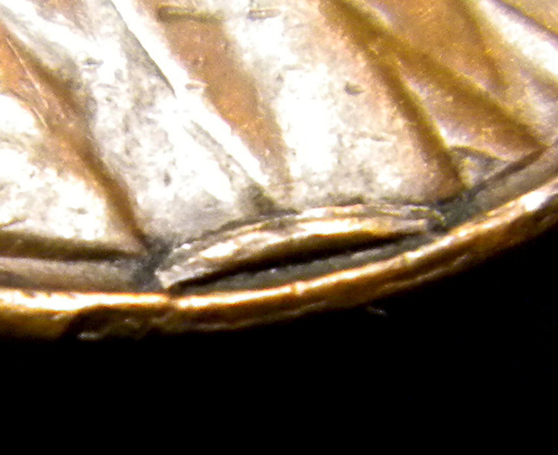 5DSCN8561a.jpg