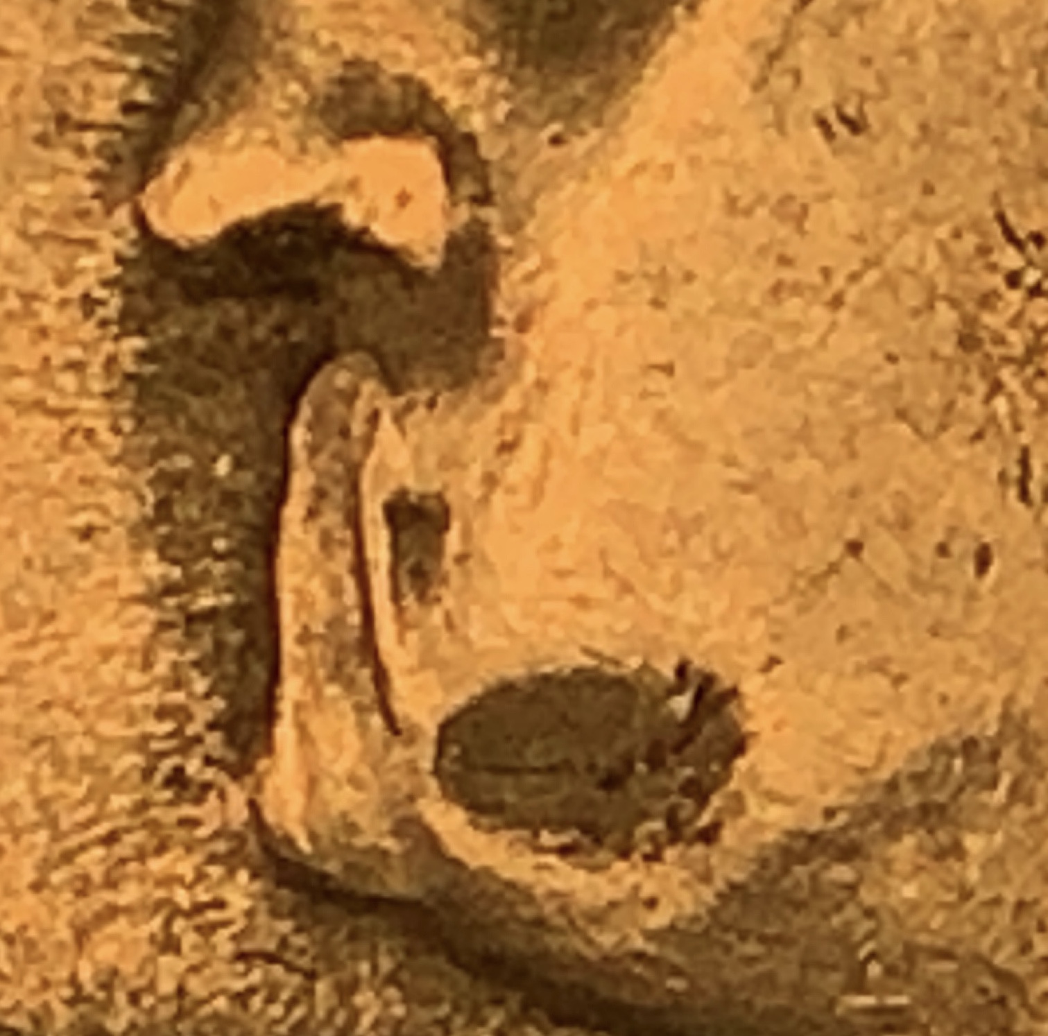 5E6F75EC-6178-4E34-AEFD-4DDF33F2CF17.jpeg