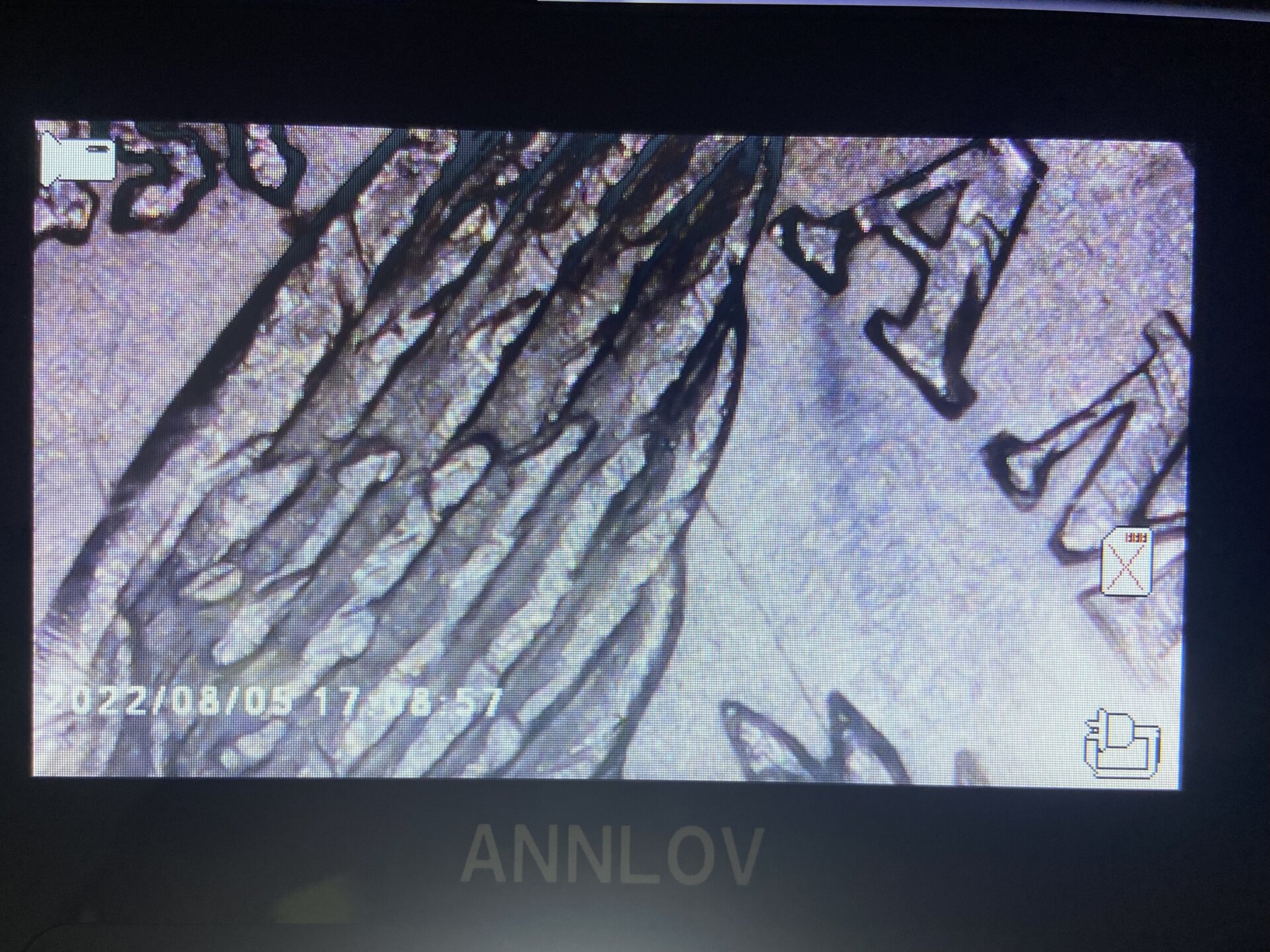 5EBB2221-BF47-45DF-AC54-E6EB442C3651.jpeg