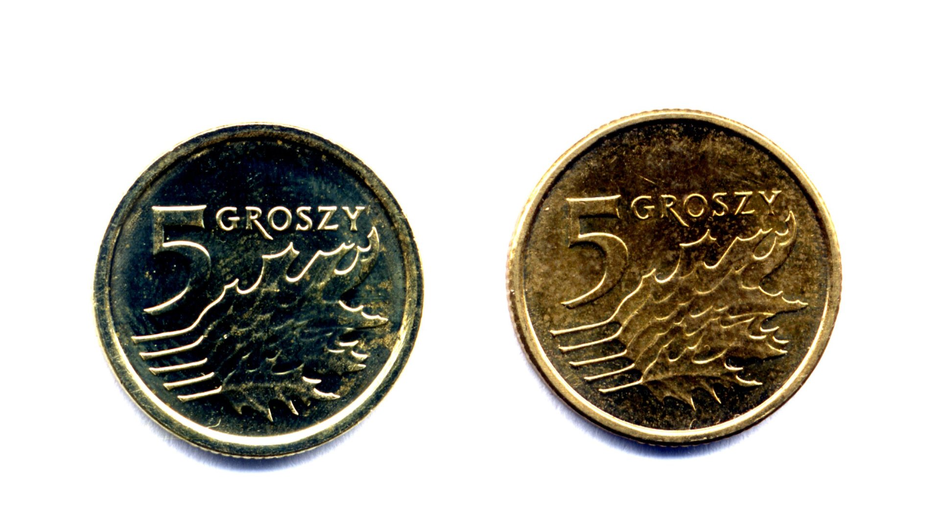 5Groszy2014320.jpg