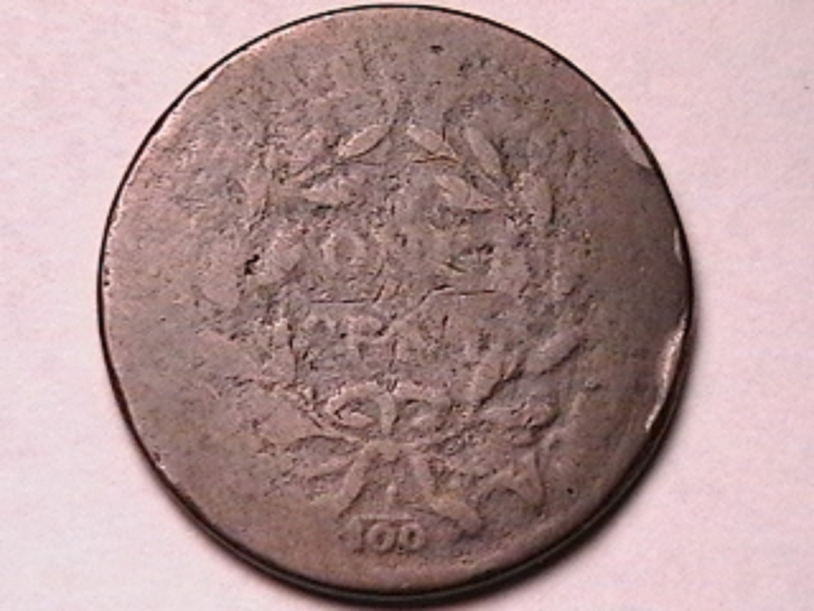 5l.jpg