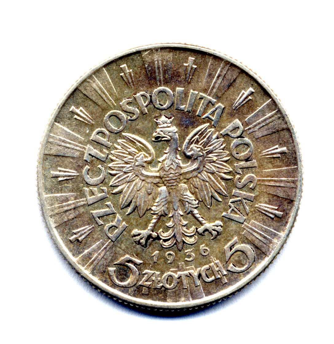 5zl1936362.jpg