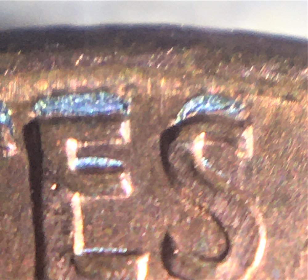 6-ccfopt.jpg