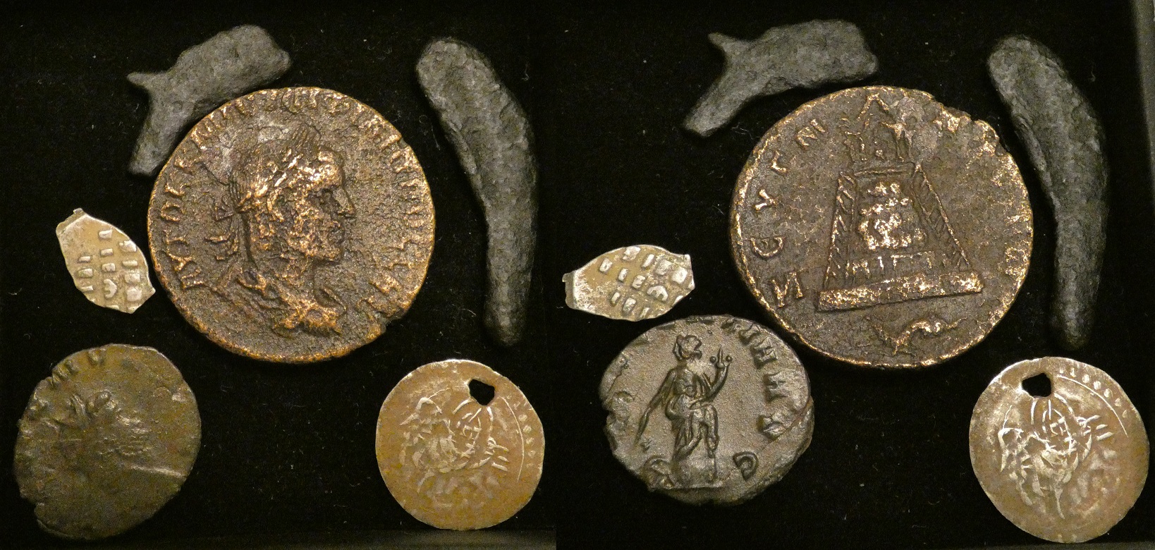 6 Coins.jpg
