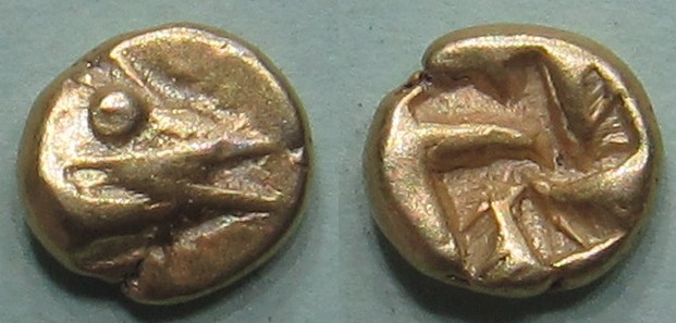 600-550 B.C. MYSIA Kyzikos Hunter & Leiwald 2.2; b.jpg