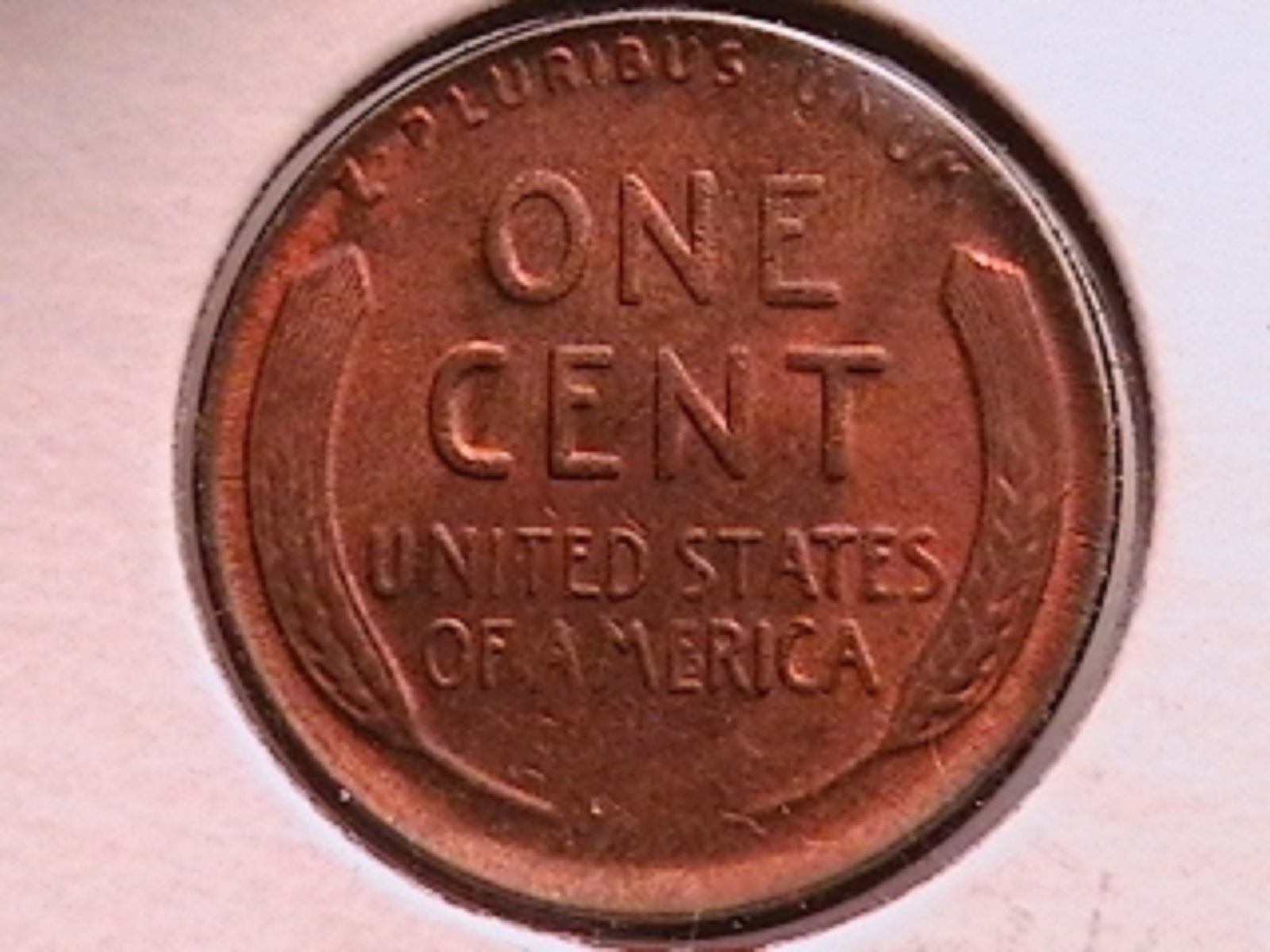 601a.jpg