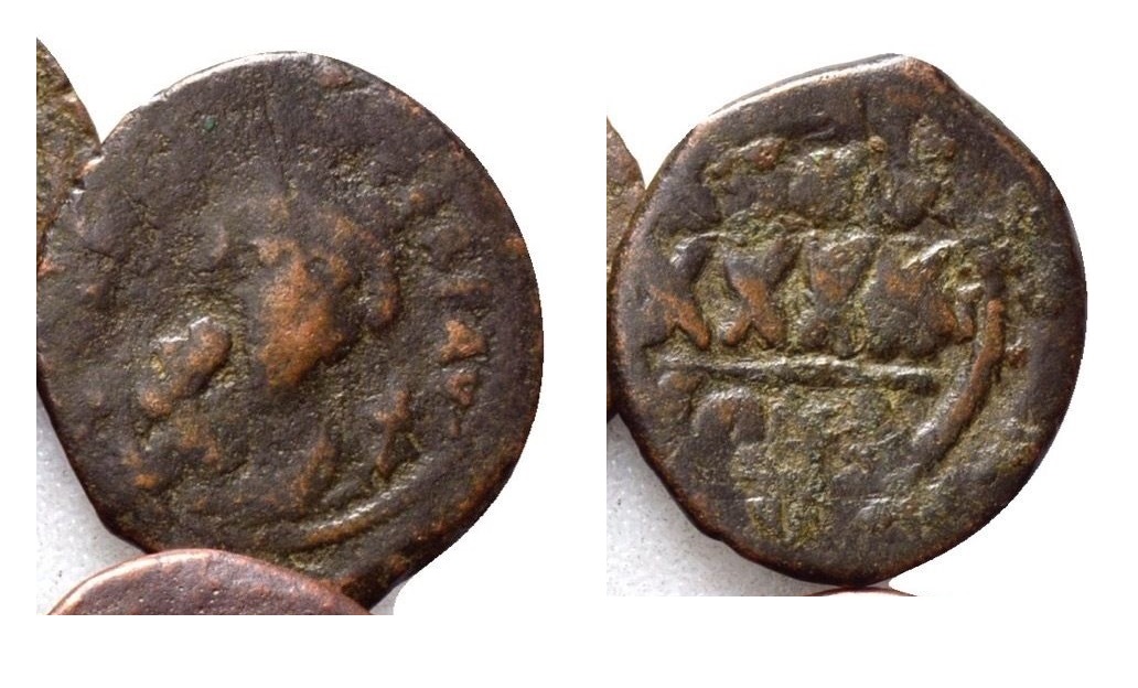 602-610 Phocas 2 S640.JPG