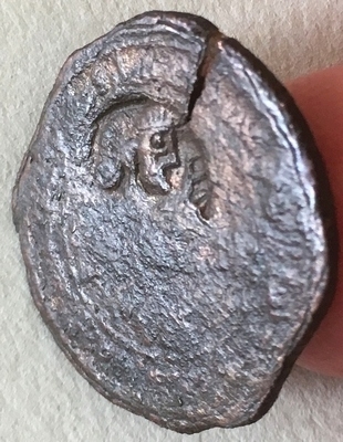 6028 cm 2.jpg