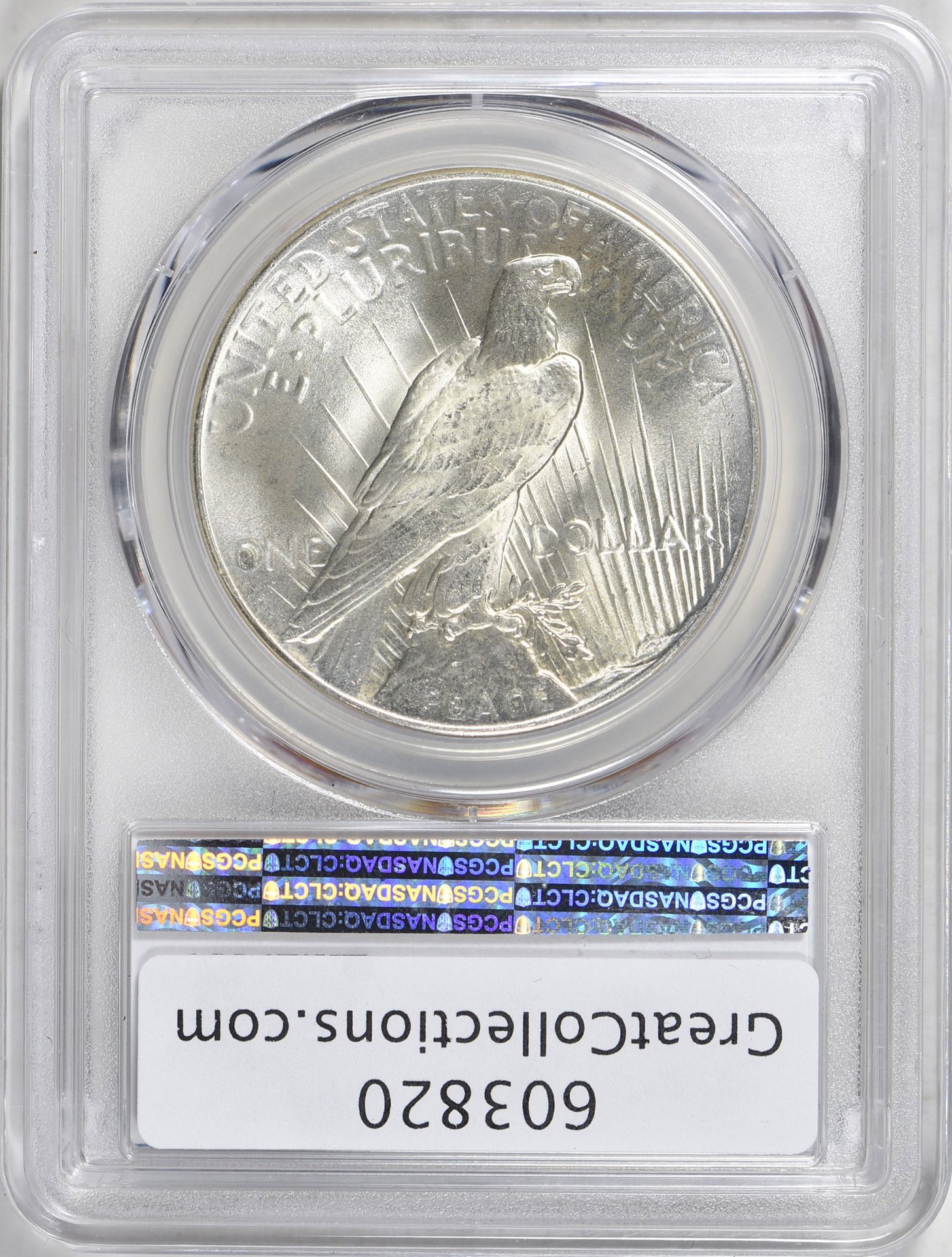 603820-2.jpg