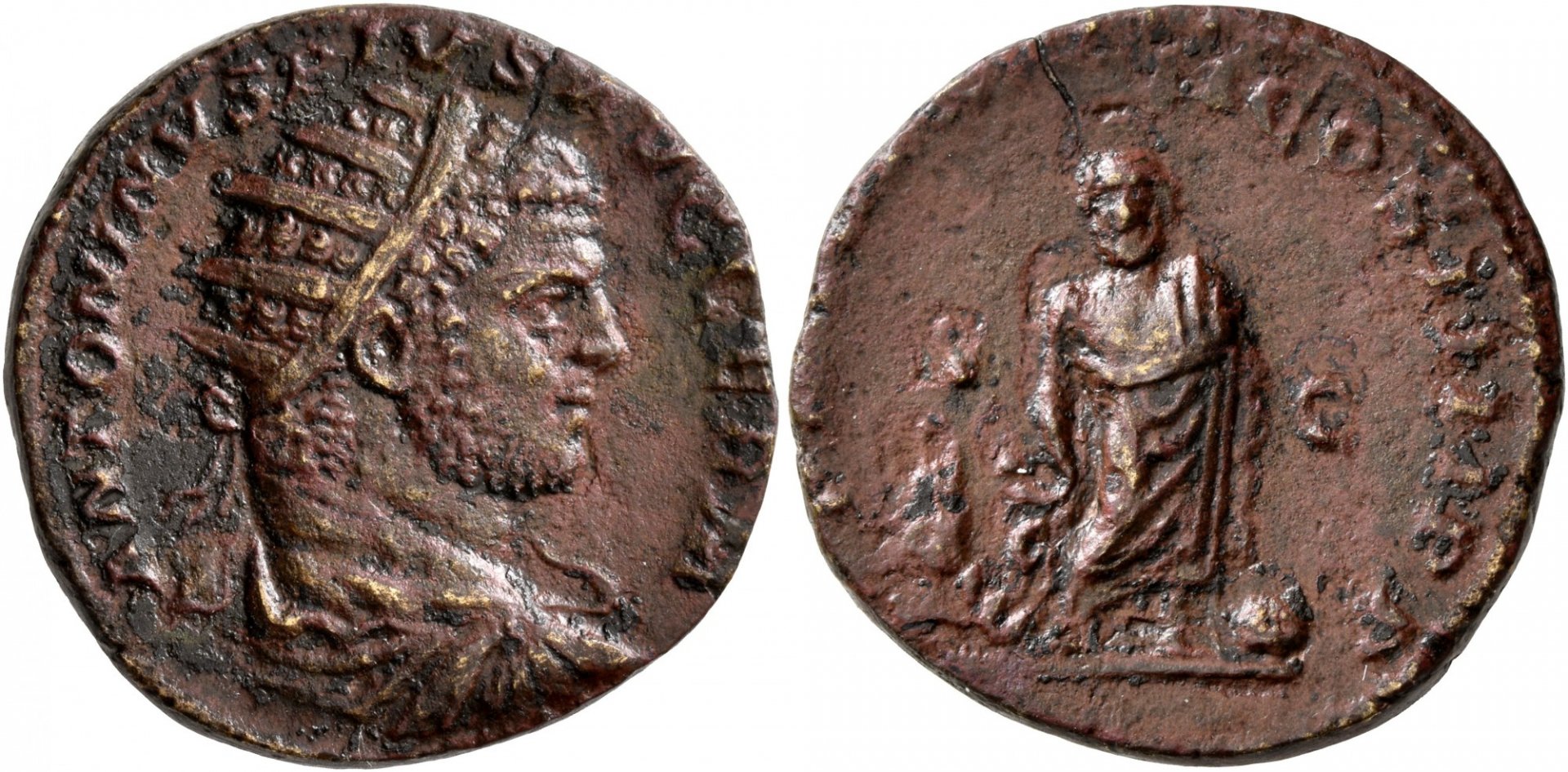 6116107.jpg