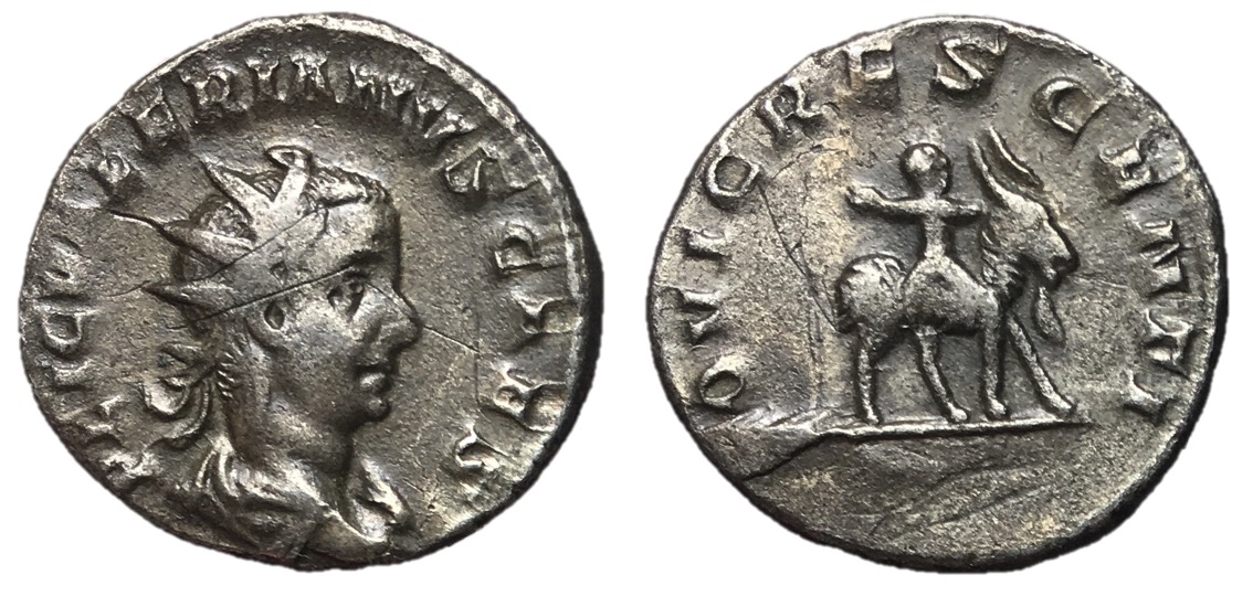 6190.jpg