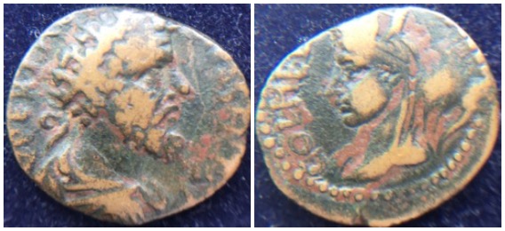 6301 6302.jpg