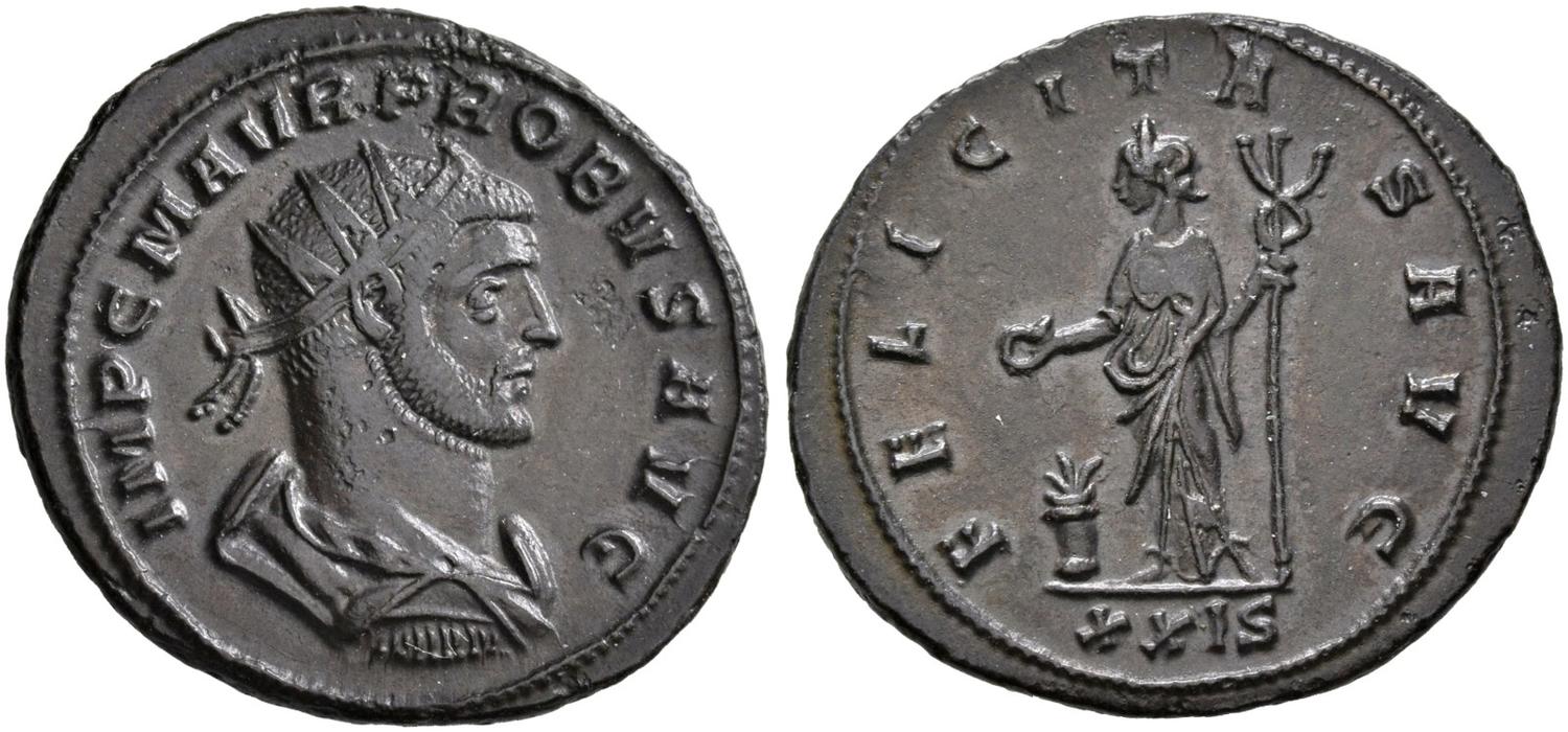 6305078.jpg
