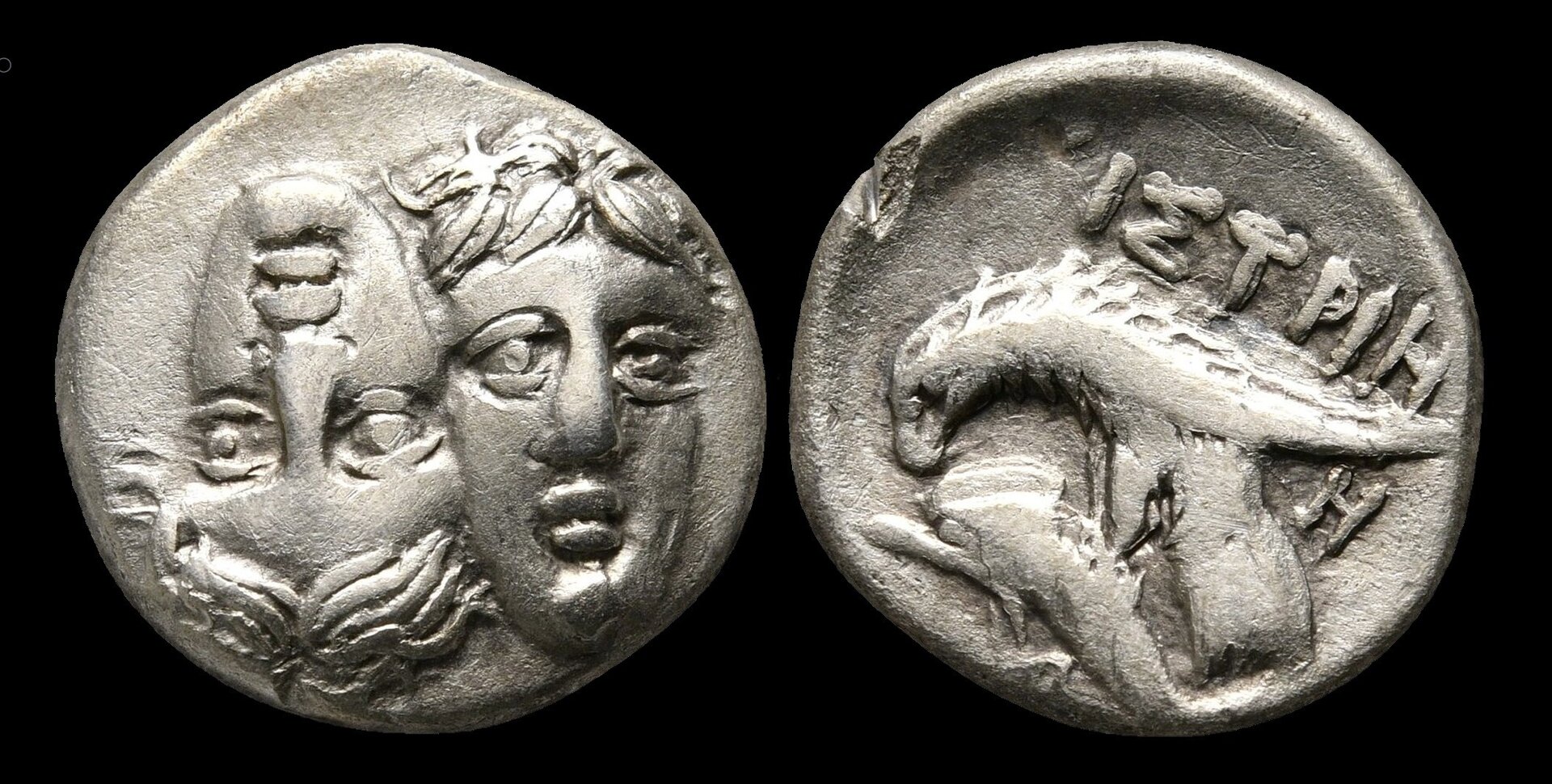 641685.jpg