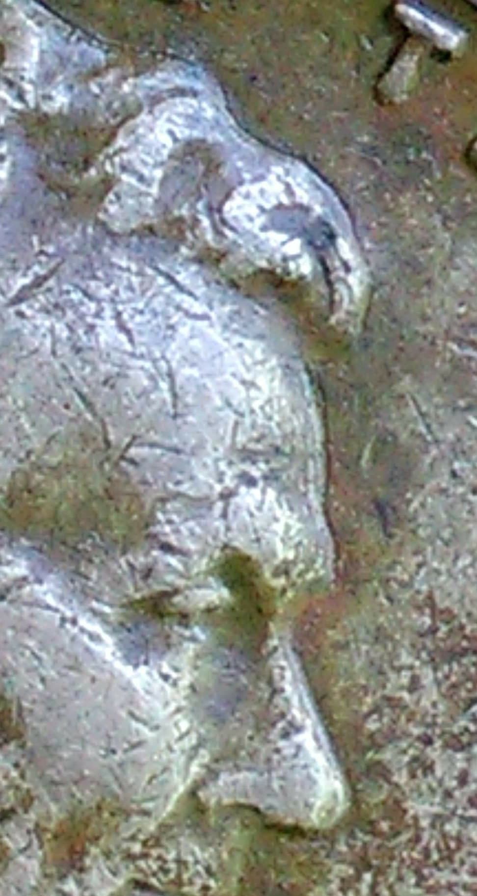 64418086_1229153983920750_3203545685802614784_n (1).jpg