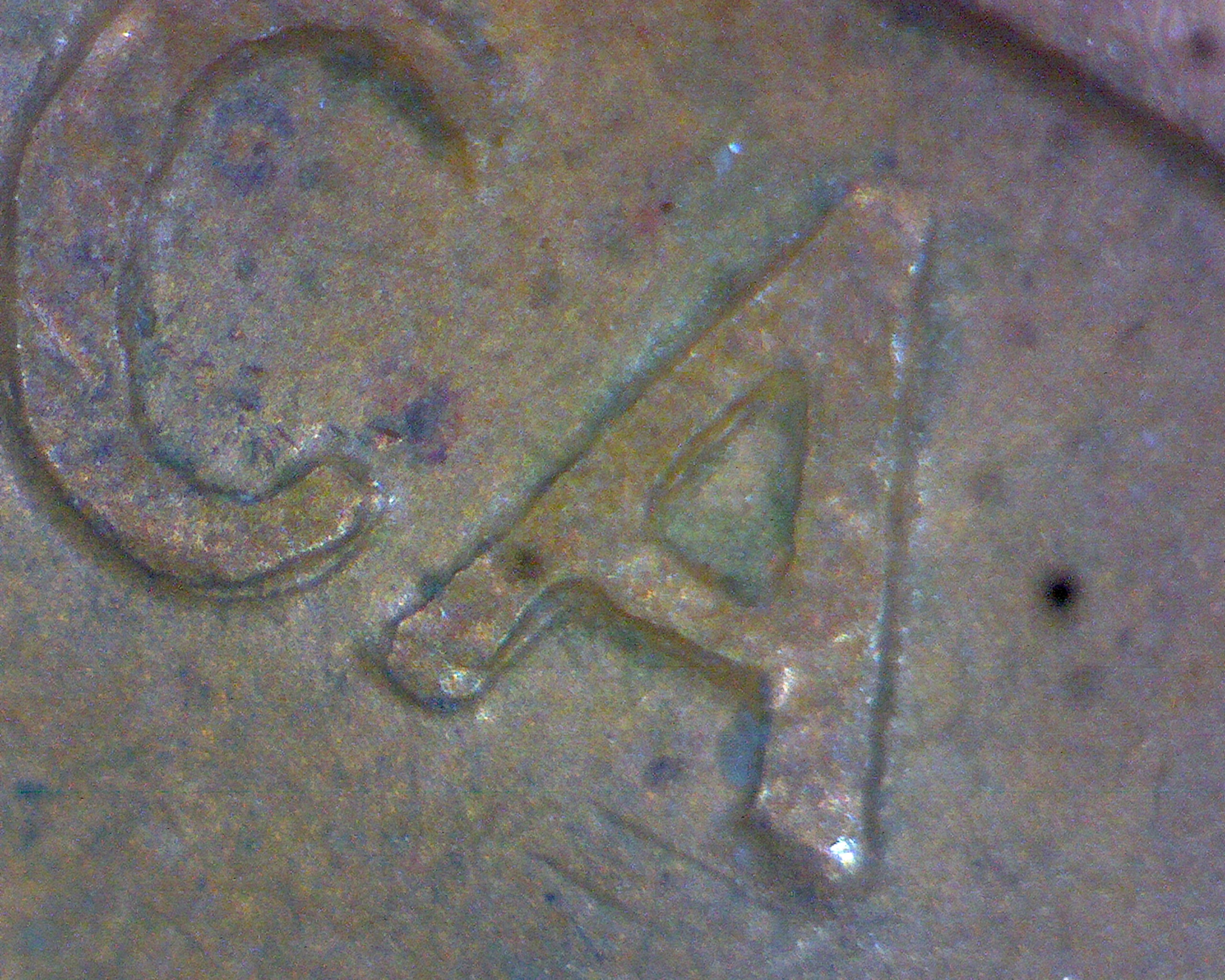 64CAddr.jpg