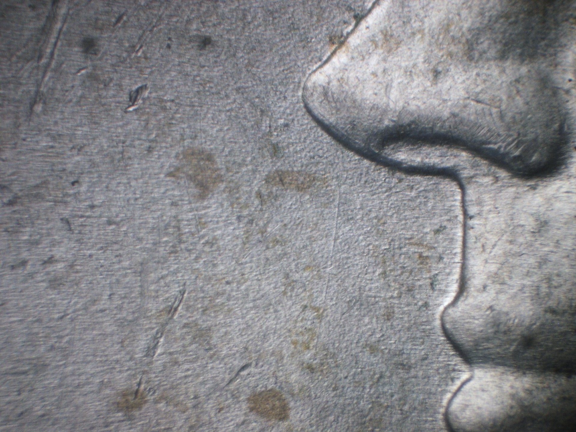 64D DDO-008 marker.JPG