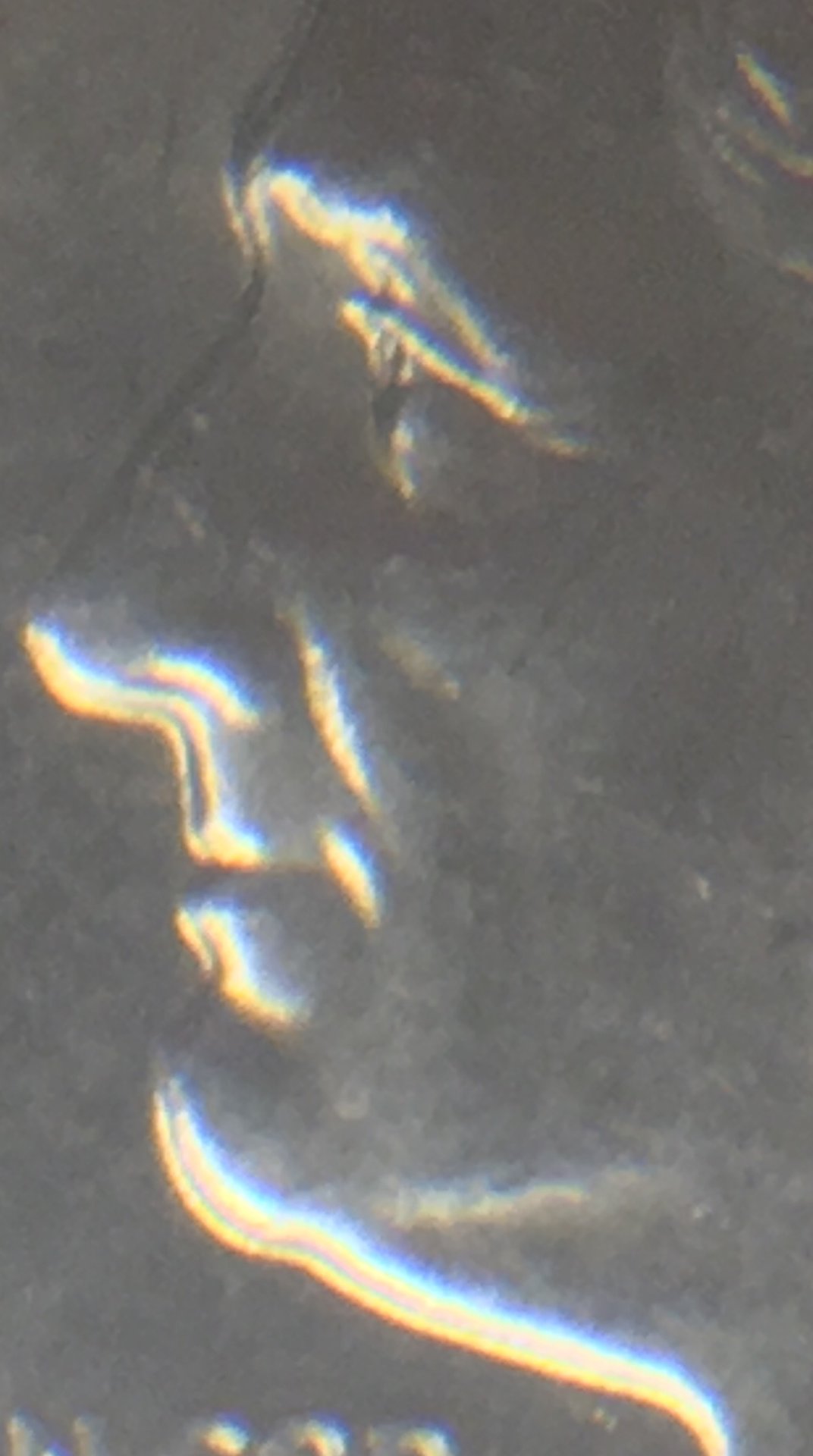 64D38E14-1188-4809-95DC-D568AA0690FF.jpeg