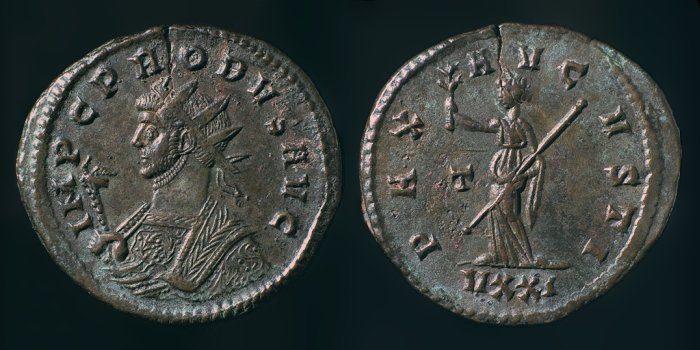 651.jpg