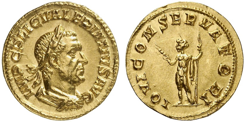 655498l.jpg