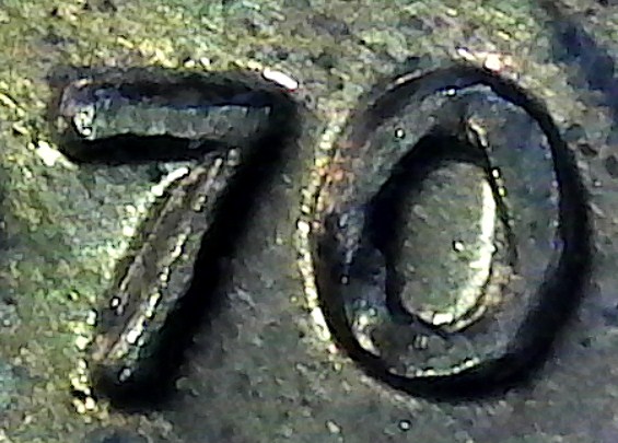 65q.jpg