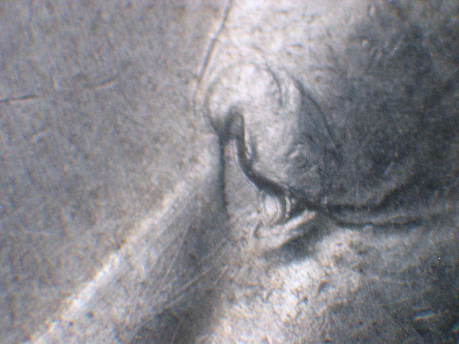 66 DDO-008 stg D.JPG
