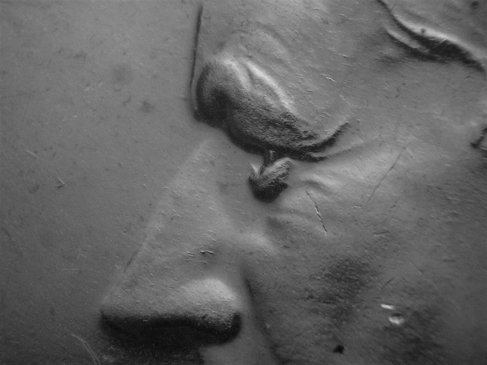 66 SMS DDO-002 Stg E No FG nose.JPG