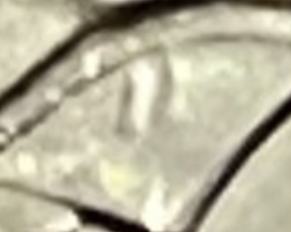 66D1ACF5-10AA-4BC0-B0E5-81BCE069190D.jpeg