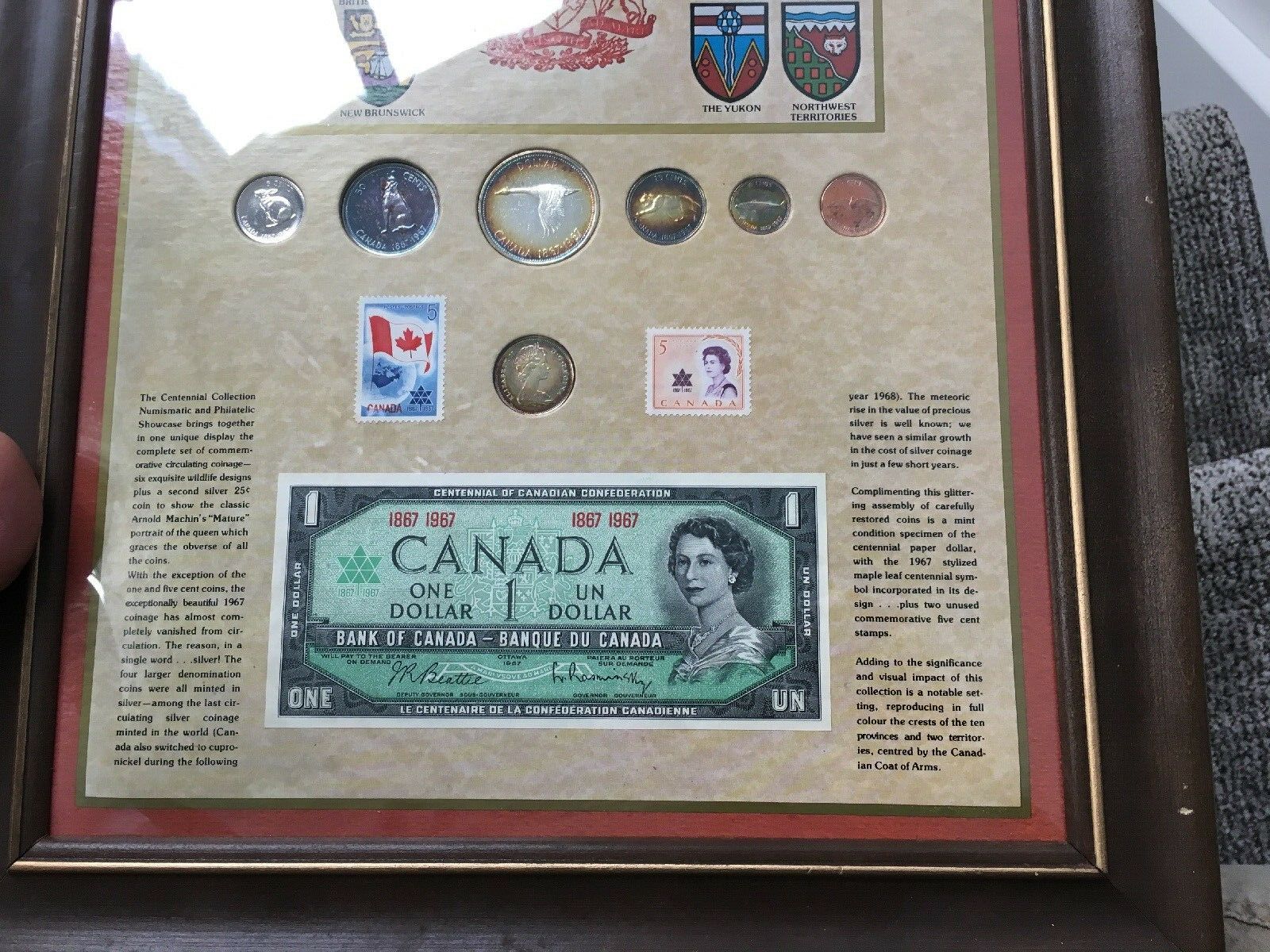 67 7.jpg