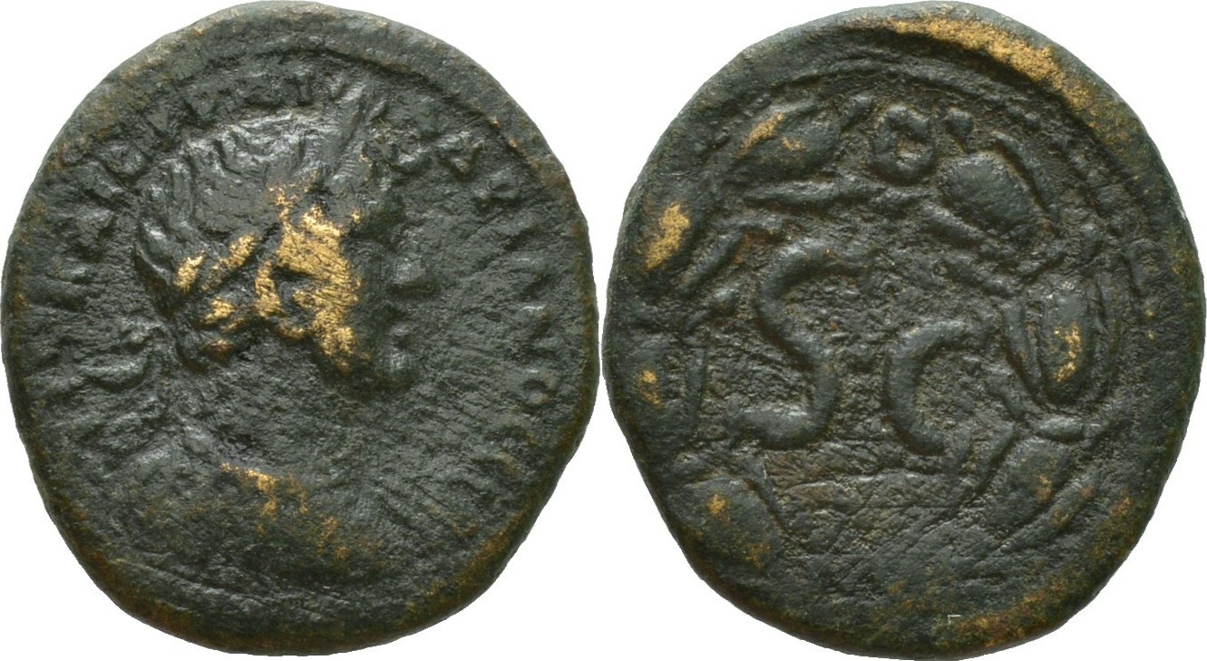 674 P Hadrian RPC3714.jpg