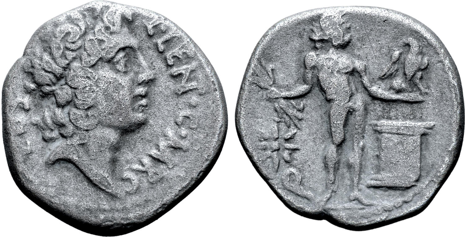 6919908.jpg