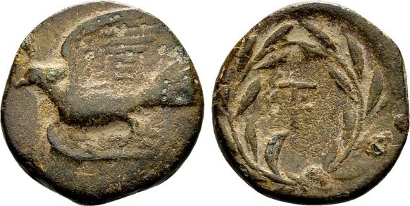 694_nl378_600.jpg