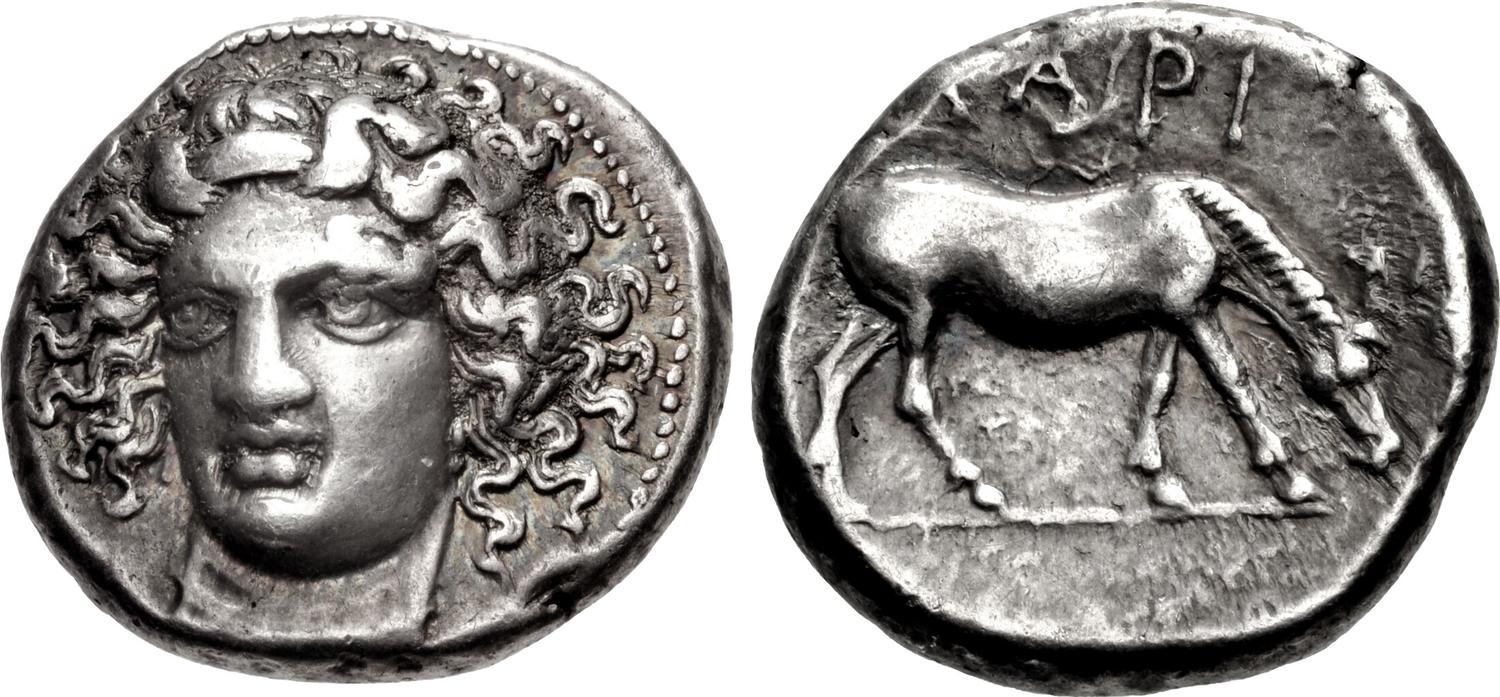 6981812.jpg