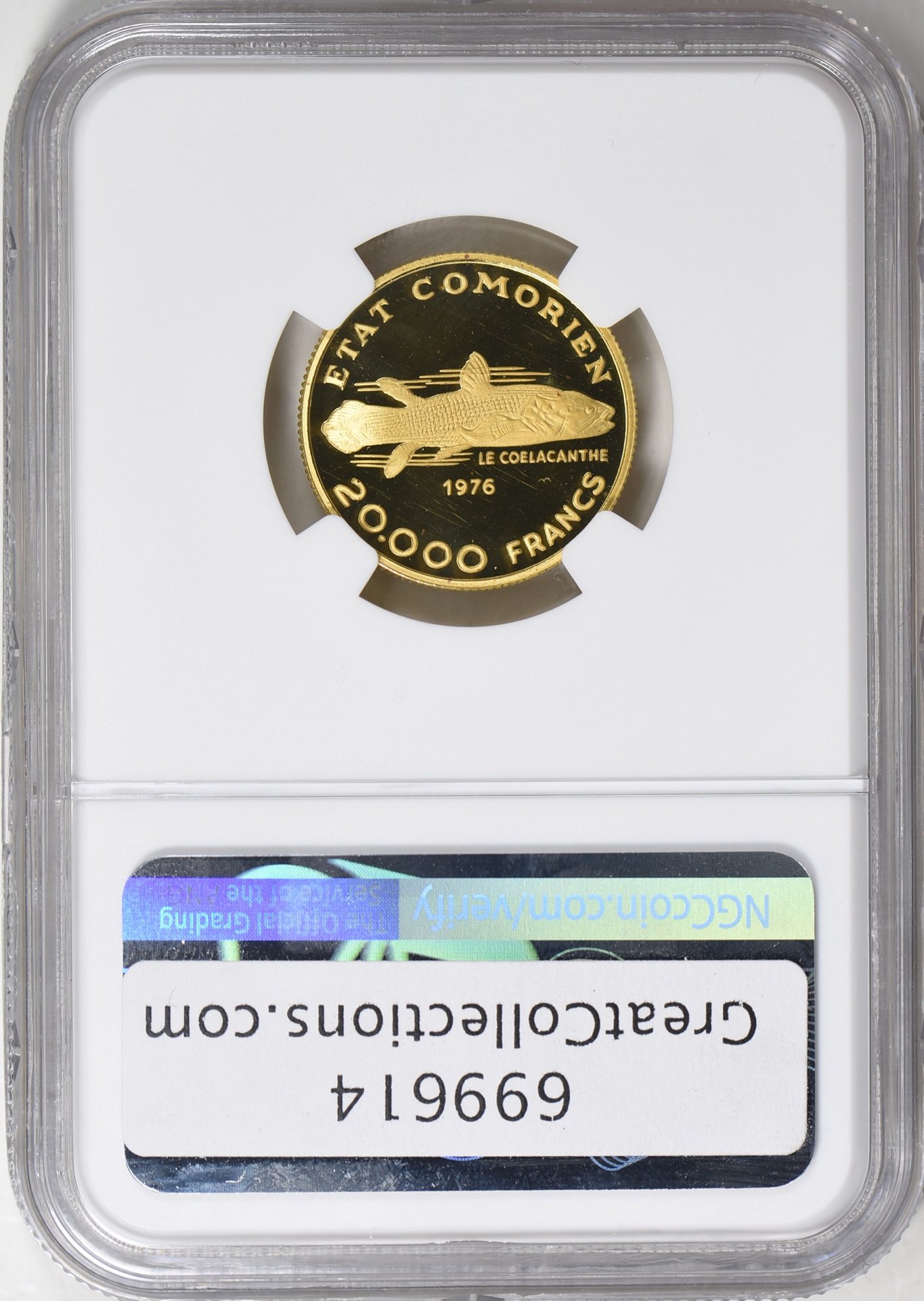 699614-2.jpg