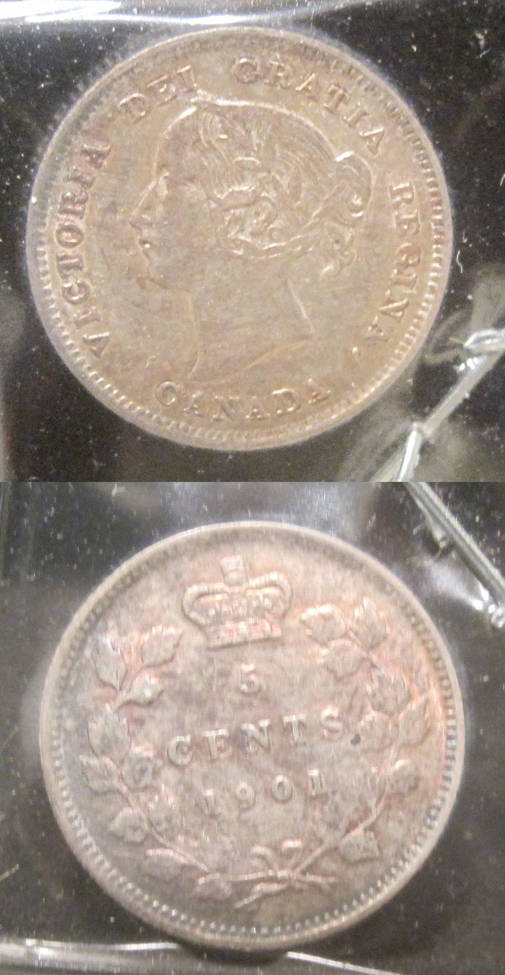 69d.jpg