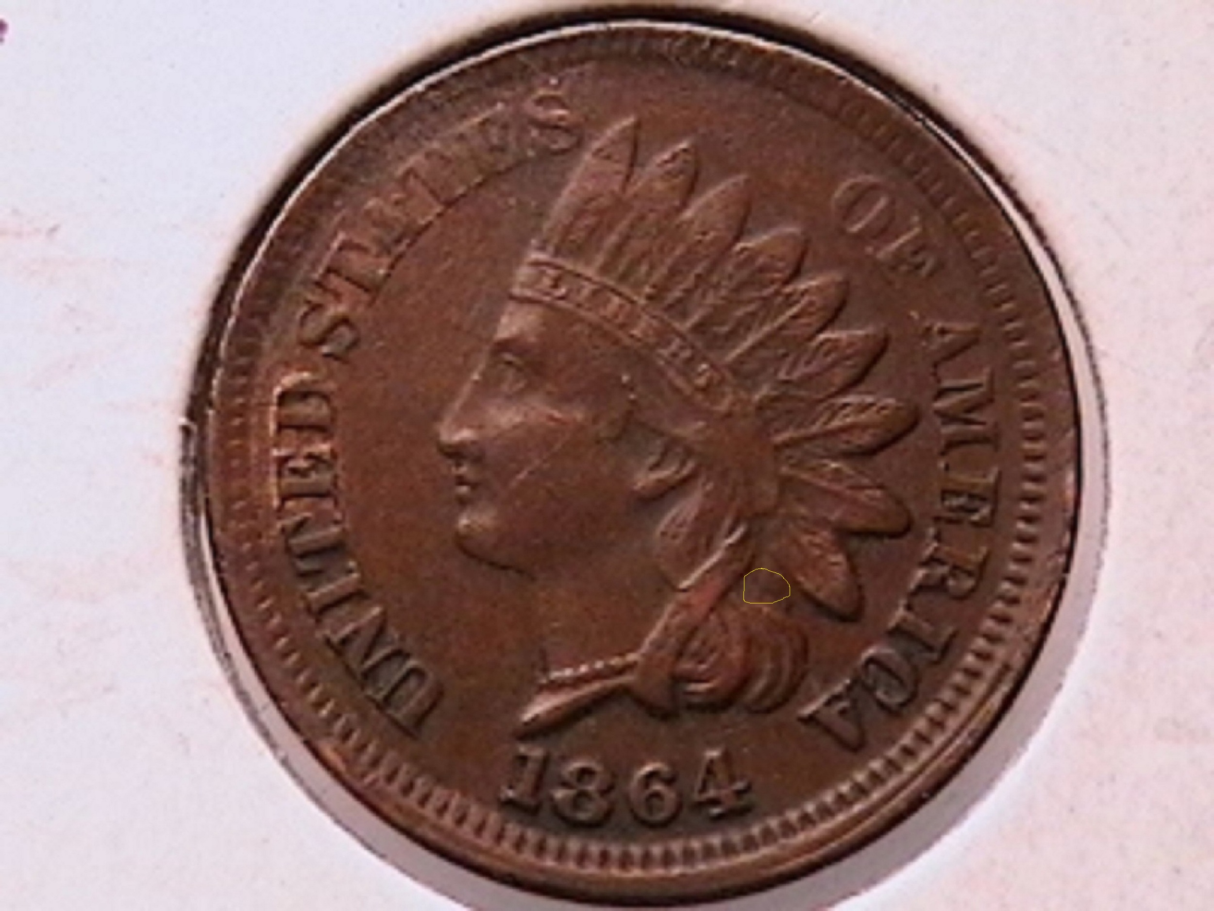 6a.jpg