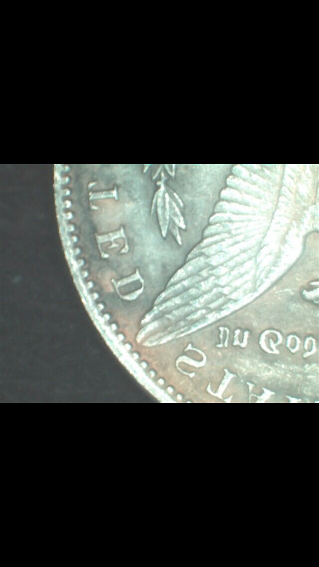 6A3FE5EF-FF3B-409C-A0A7-FF37216D297E.png