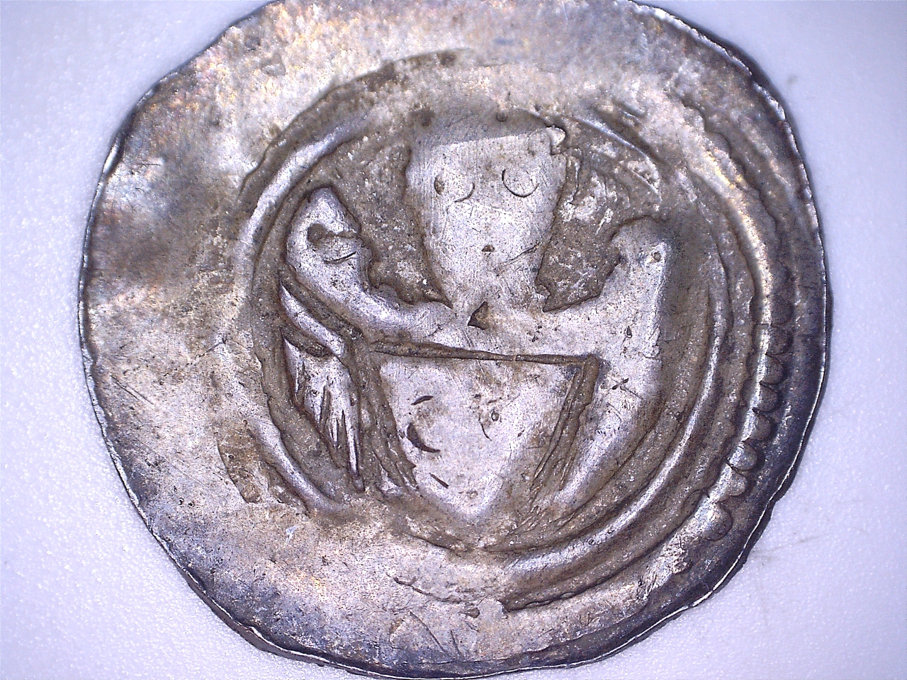 6b.jpg