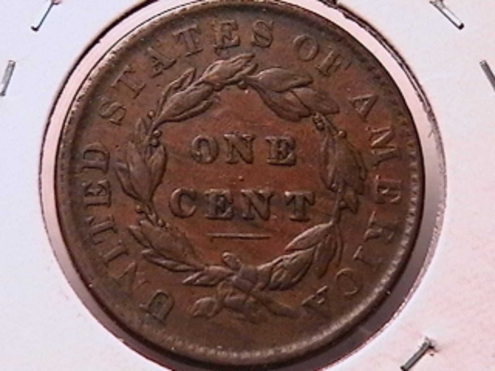 6c.jpg