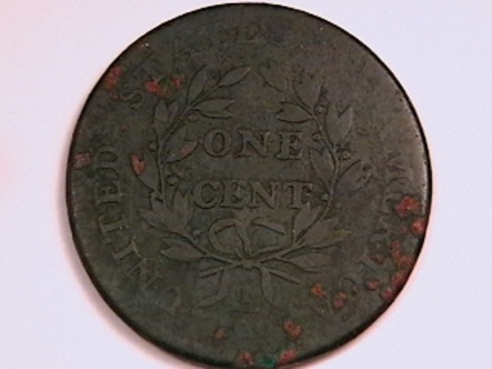 6c.jpg