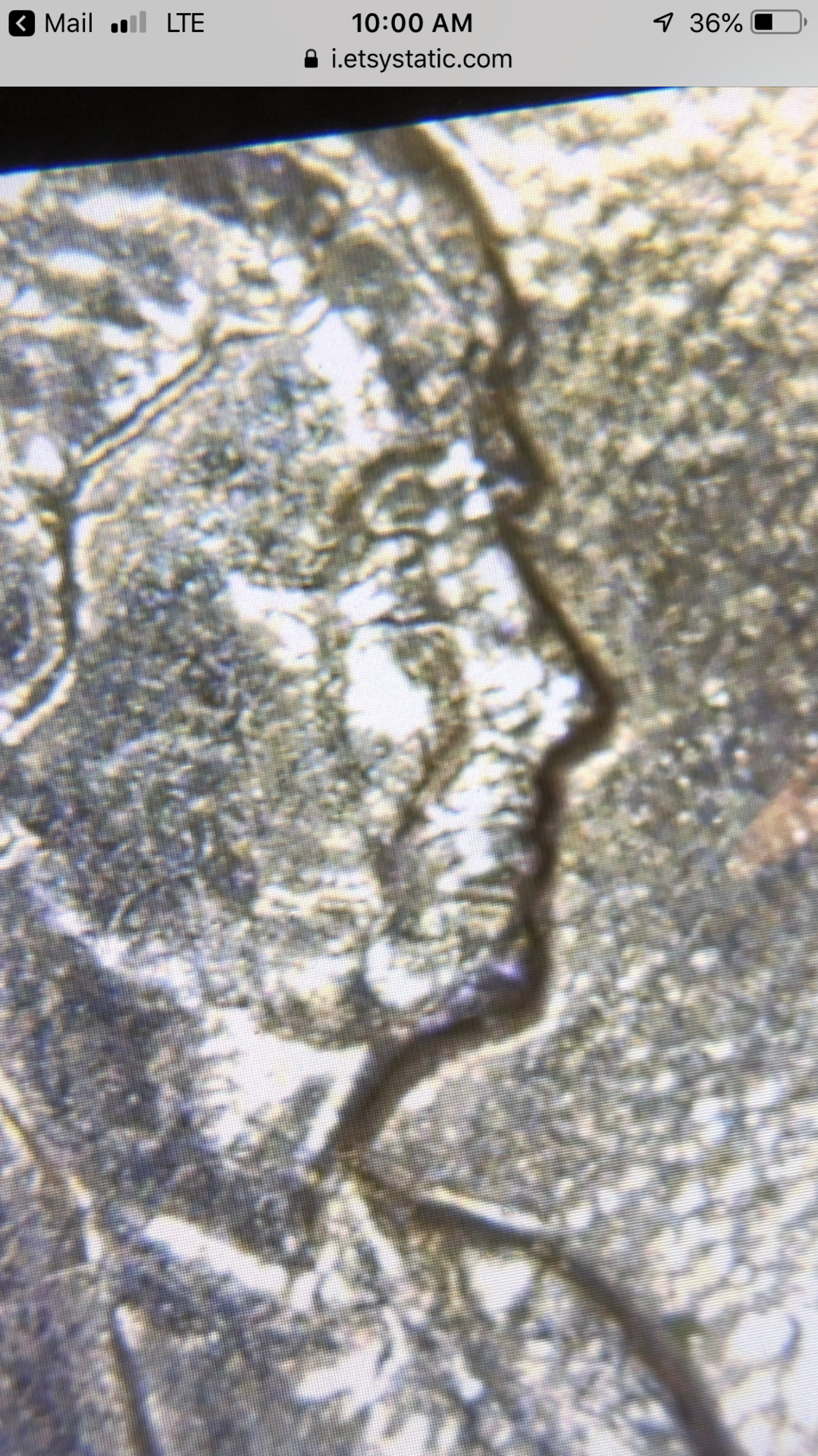 6C3A38F6-1A05-4318-B87F-64EB9DF03644.png