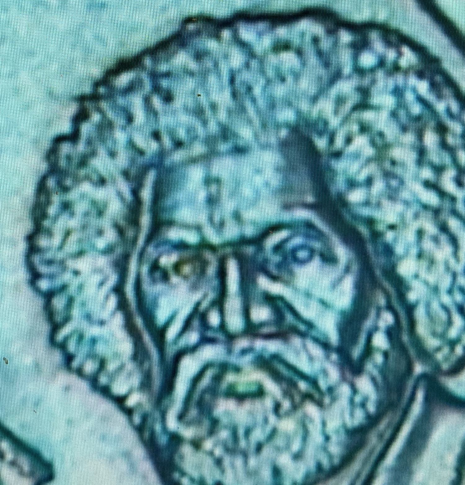 6C8C3D2F-7C4C-4315-89C5-A62635C3A4D3.jpeg