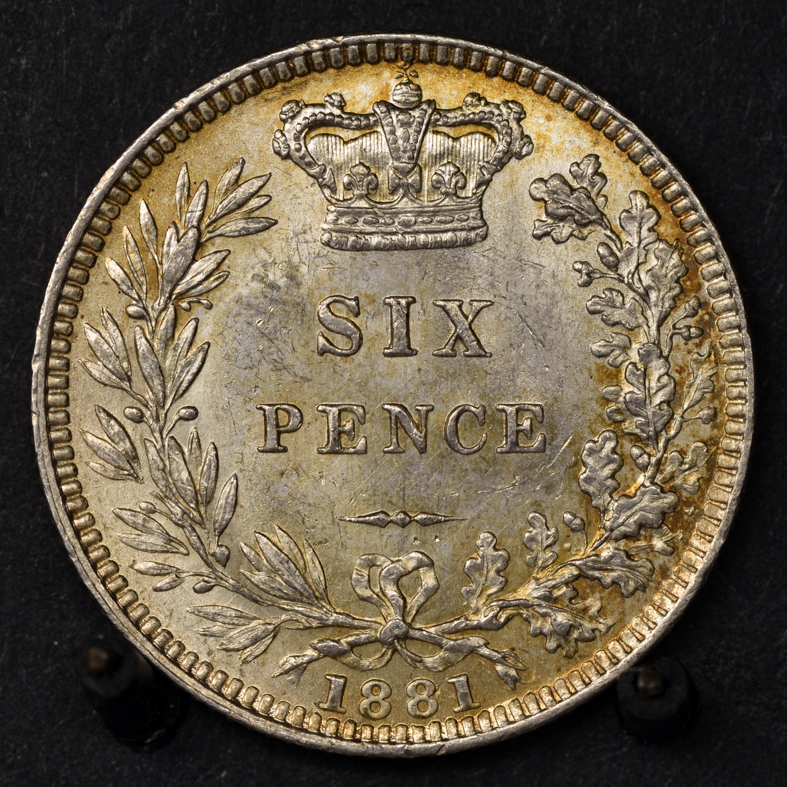 6d18812resize.jpg